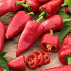 Premium Piquillo Sweet Pepper Seeds - Heirloom Garden Variety