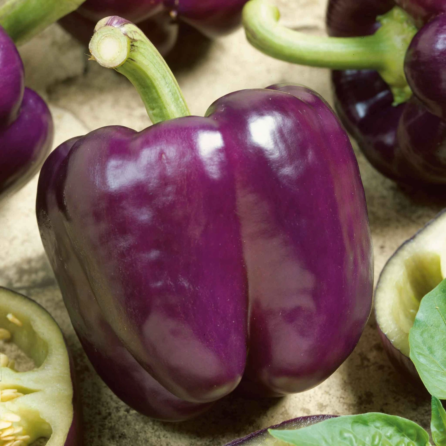 Sweet Pepper Seeds - Purple Beauty 1 Sweet Pepper Seeds - Purple Beauty