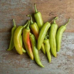 Sweet Pepper Seeds - Sweet Banana