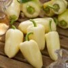 White Bell Sweet Pepper Seeds - Heirloom Open-Pollinated Variety