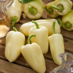 White Bell Sweet Pepper Seeds - Heirloom Open-Pollinated Variety