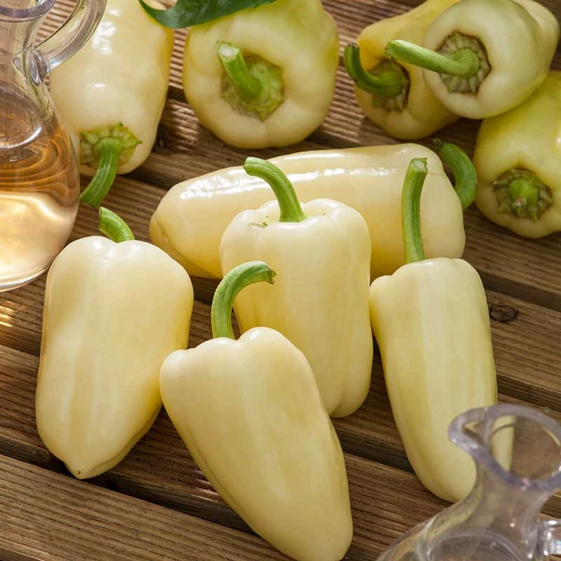 White Bell Sweet Pepper Seeds - Heirloom Open-Pollinated Variety 1 White Bell Sweet Pepper Seeds - Heirloom Open-Pollinated Variety