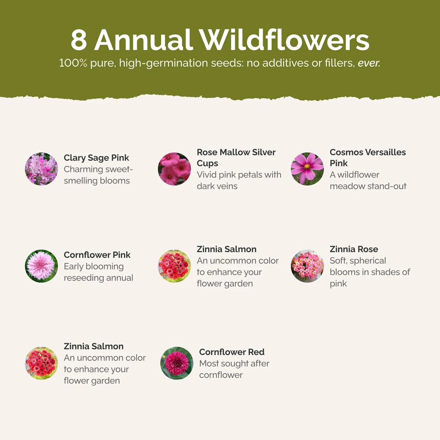 Vibrant Pink Perfection Wildflower Seed Mix for Summer Blooms 4 Vibrant Pink Perfection Wildflower Seed Mix for Summer Blooms - Image 4