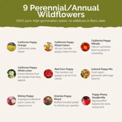 Poppy Power - Poppy Flower Seed Mix -Eden Brothers Shop poppy power SMISP116 st2