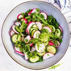 Radish Seeds - Champion -Eden Brothers Shop radish champion shk 4