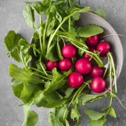 Early Scarlet Globe Radish Seeds - Fast 25-Day Harvest Heirloom