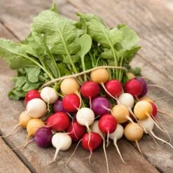 Vibrant Easter Egg Radish Seeds - Multi-Colored Heirloom Garden Mix
