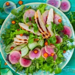 Radish Seeds - Watermelon -Eden Brothers Shop radish watermelon shk 3