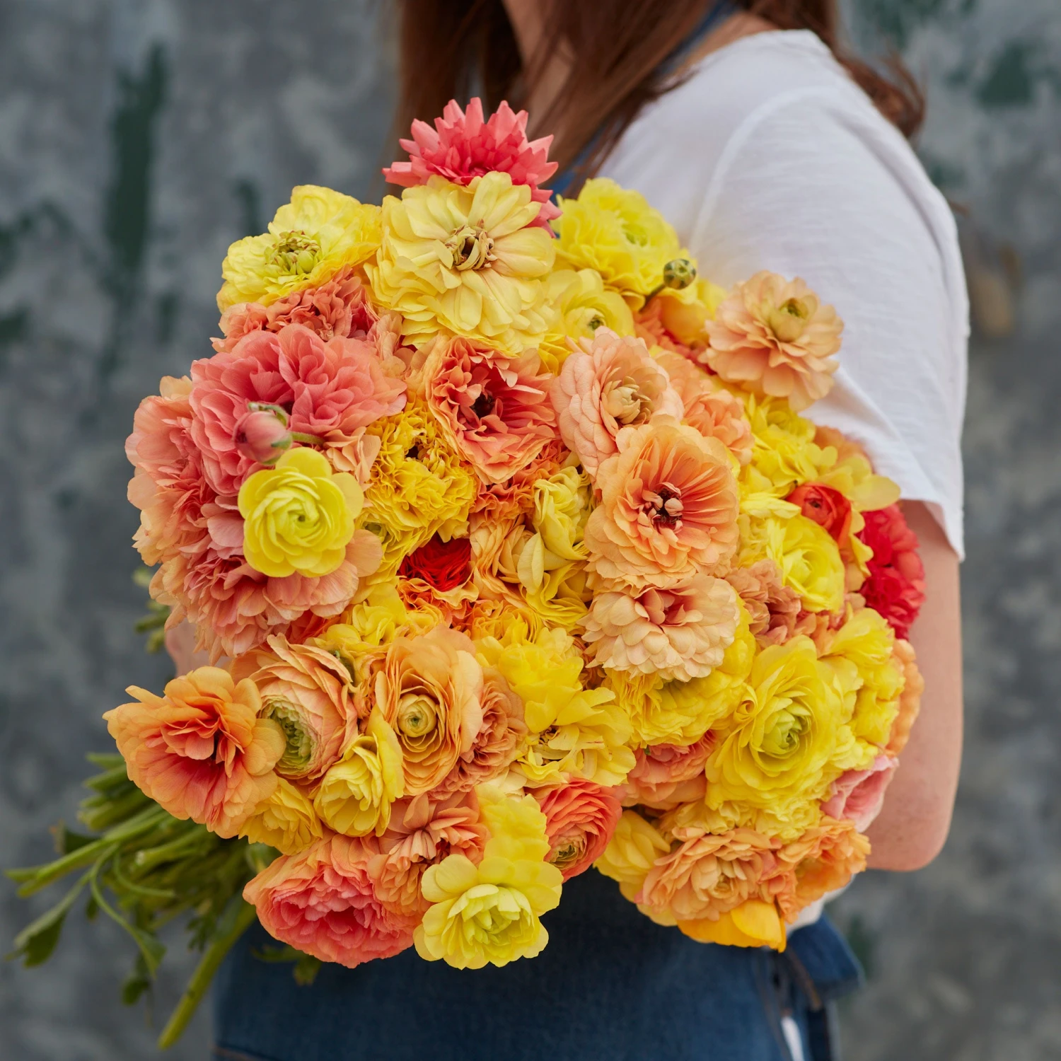 Pastel Lemon Ranunculus Bulbs - Vibrant Peony-Style Spring Flowers 1 Pastel Lemon Ranunculus Bulbs - Vibrant Peony-Style Spring Flowers