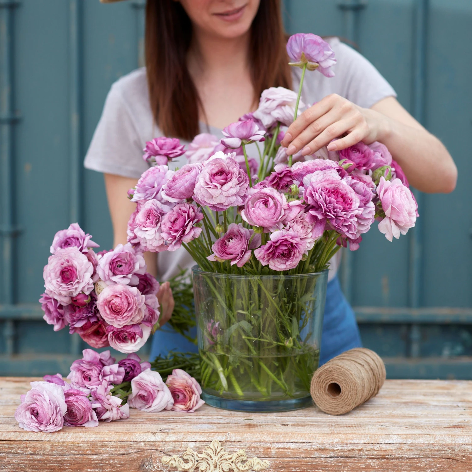 Purple Jean Ranunculus Bulbs - Vibrant Mauve Rose-Like Blooms for Gardens 3 Purple Jean Ranunculus Bulbs - Vibrant Mauve Rose-Like Blooms for Gardens - Image 3