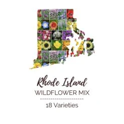 Rhode Island Wildflower Seed Mix: 18 Variety Native & Perennial Blend