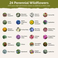 Rock Garden Perennial Wildflower Seed Mix 6 Rock Garden Perennial Wildflower Seed Mix -Eden Brothers Shop rock garden SMSPU131 st2