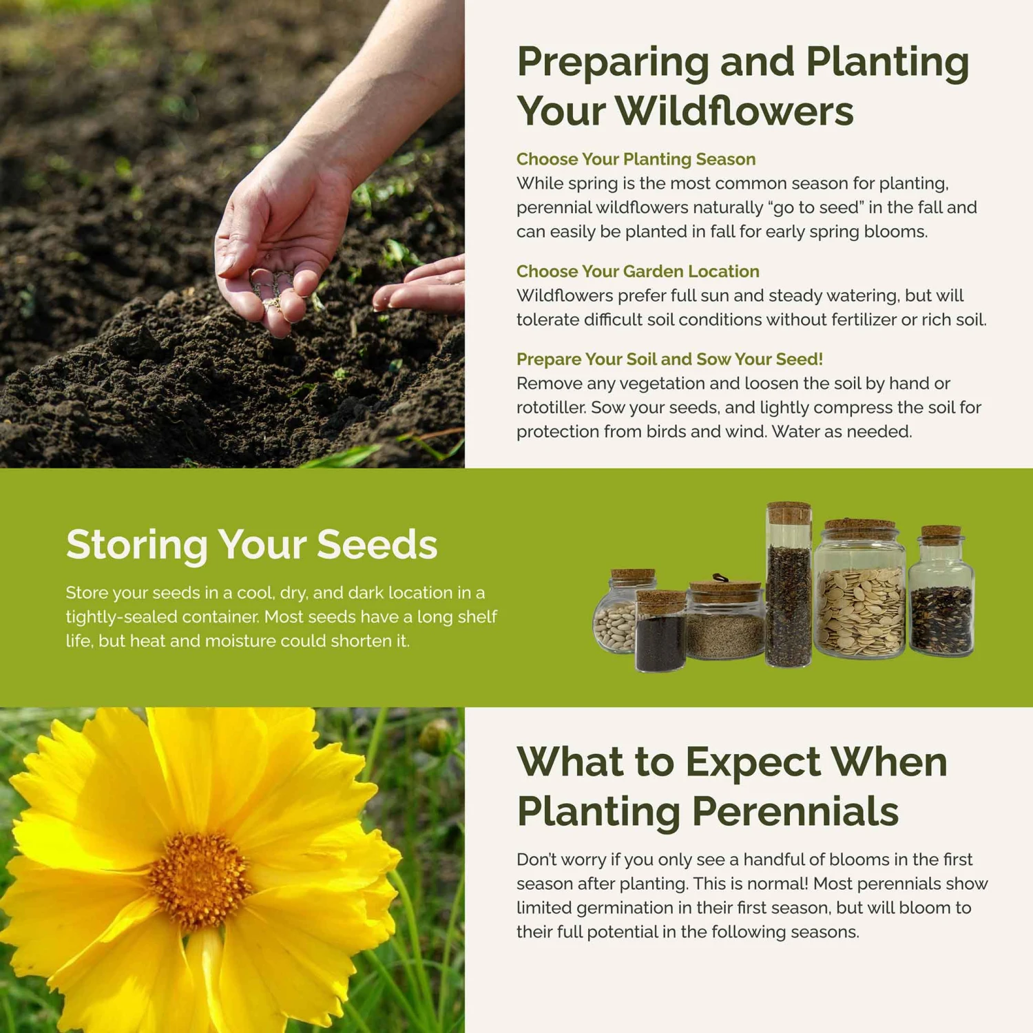 Rock Garden Perennial Wildflower Seed Mix 4 Rock Garden Perennial Wildflower Seed Mix - Image 4