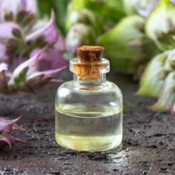 Clary Sage Seeds - White Swan 5 Clary Sage Seeds - White Swan -Eden Brothers Shop sage essential oil shk 4 fee50923 10f8 479b 8bb7 228688080c69