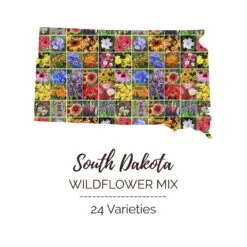 South Dakota Wildflower Seed Mix - Premium 24 Variety Blend for Season-Long Color