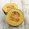 Acorn Table Queen Winter Squash Seeds - Heirloom Variety for Baking
