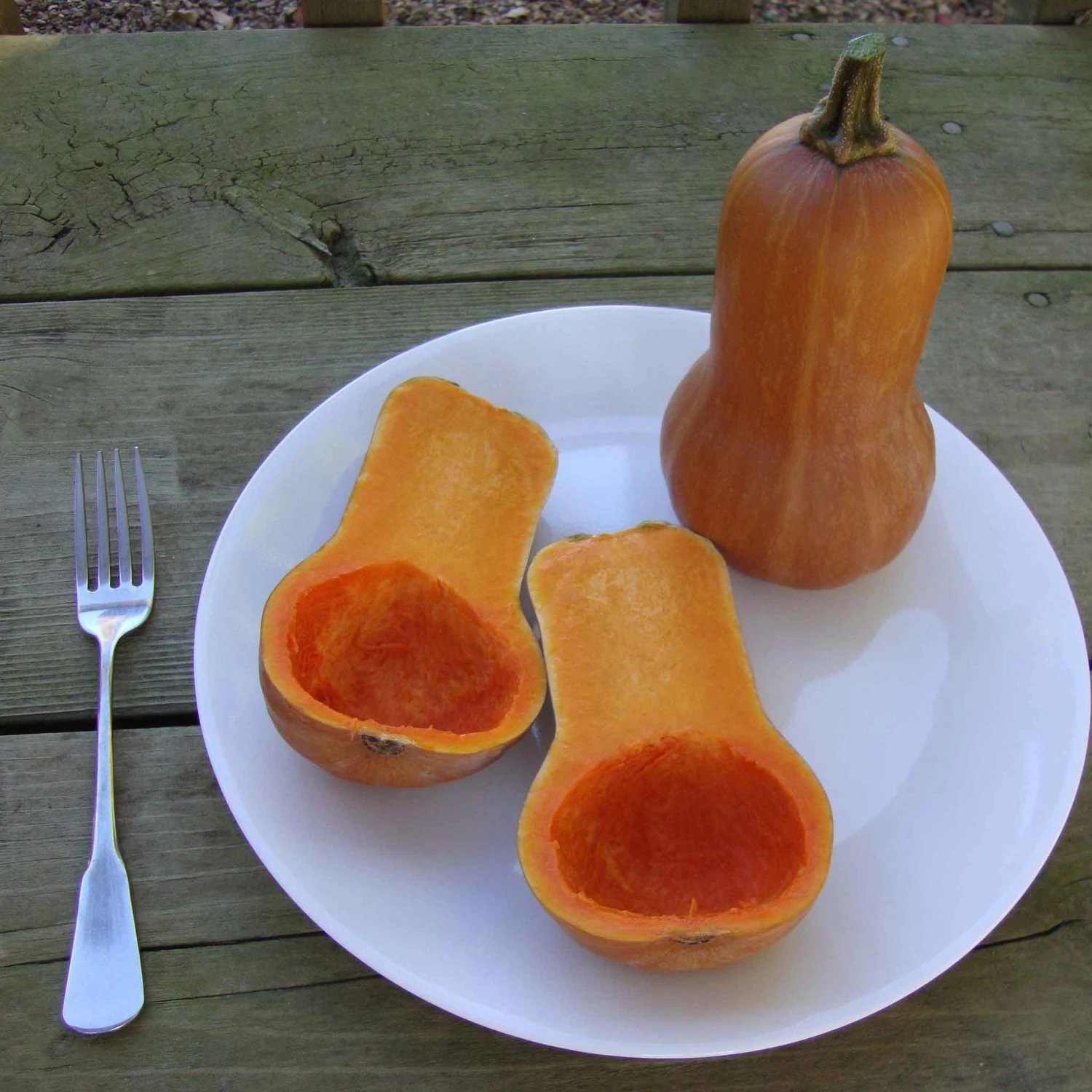 Butterbaby Winter Squash Seeds - High-Yield Compact Semi-Bush Variety 5 Butterbaby Winter Squash Seeds - High-Yield Compact Semi-Bush Variety - Image 5