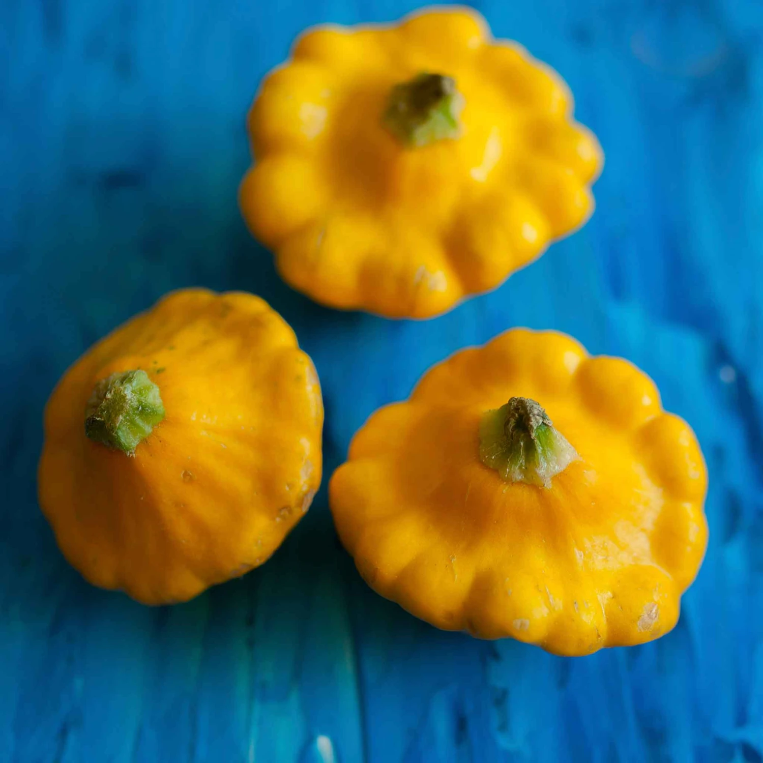 Yellow Scallop Bush Squash Seeds - Heirloom Summer Patty Pan 1 Yellow Scallop Bush Squash Seeds - Heirloom Summer Patty Pan