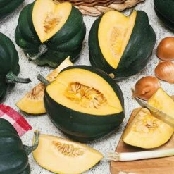 Table King Bush Winter Squash Seeds - High-Yield Compact Variety