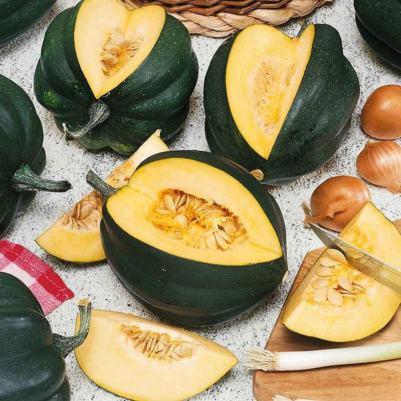 Table King Bush Winter Squash Seeds - High-Yield Compact Variety 1 Table King Bush Winter Squash Seeds - High-Yield Compact Variety
