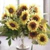 Marley Sunflower Seeds - Tall Multi-Color Decorative Garden Blooms