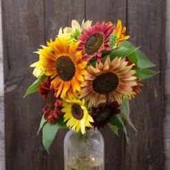 Sunflower Seeds (Organic) - Fireworks Blend