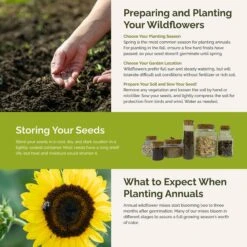 Sunny - Sunflower Seed Mix 9 Sunny - Sunflower Seed Mix -Eden Brothers Shop sunny SMISP117 st5