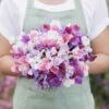Fragrant Sweet Pea Seeds - Spencer Mix Climbing Flower Blend