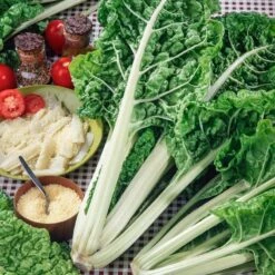Lucullus Swiss Chard Seeds: High-Vitamin Heirloom Garden Greens
