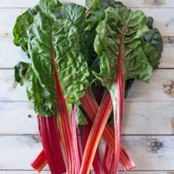 Ruby Red Swiss Chard Seeds - Vibrant & Nutritious Garden Greens -Eden Brothers Shop swiss chard ruby red shk 3