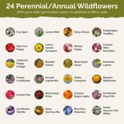 Tennessee Wildflower Seed Mix -Eden Brothers Shop tennessee SMREG138 st2