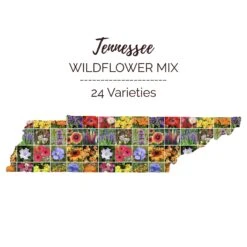 Tennessee Wildflower Seed Mix