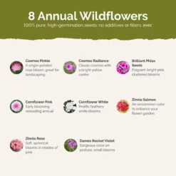 Vibrant Pink Flower Seed Mix - Premium 8-Variety Garden Bloom Blend -Eden Brothers Shop tickled pink SMCOL115 st2