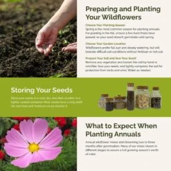 Vibrant Pink Flower Seed Mix - Premium 8-Variety Garden Bloom Blend -Eden Brothers Shop tickled pink SMCOL115 st5