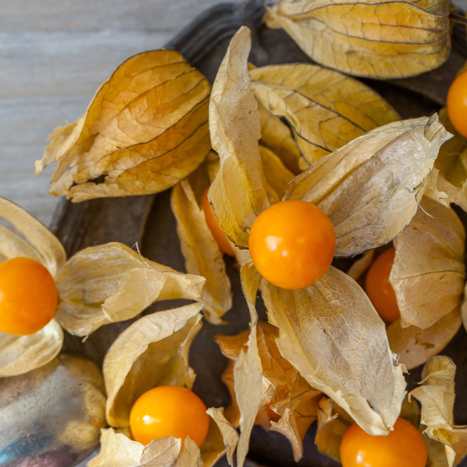 Ground Cherry Tomatillo Seeds - Sweet Cape Gooseberry & Golden Berry 2 Ground Cherry Tomatillo Seeds - Sweet Cape Gooseberry & Golden Berry - Image 2