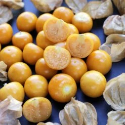 Tomatillo Seeds - Pineapple