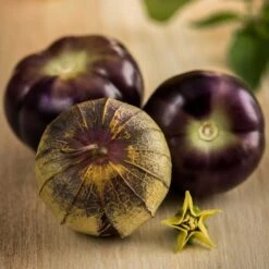 Heirloom Purple Tomatillo Seeds - Vibrant Non-GMO Garden Seeds
