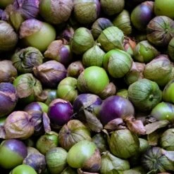 Heirloom Purple Tomatillo Seeds - Vibrant Non-GMO Garden Seeds -Eden Brothers Shop tomatillo purple shk 3