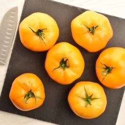 Azoychka Tomato Seeds - Early Producing Russian Heirloom Beefsteak