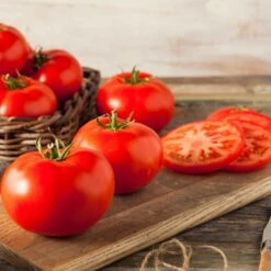 Giant Beefmaster Tomato Seeds for High-Yield Home Gardening