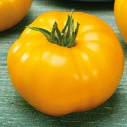 Brandywine Yellow Heirloom Tomato Seeds - Extra Large 2lb Fruit