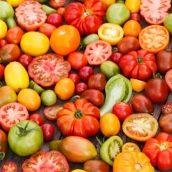 Gourmet Culinary Tomato Seed Blend - Premium Heirloom Garden Mix