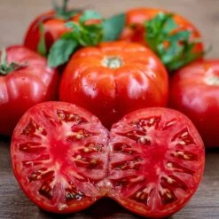 Giant Cuostralee Heirloom Tomato Seeds - Massive Beefsteak Variety