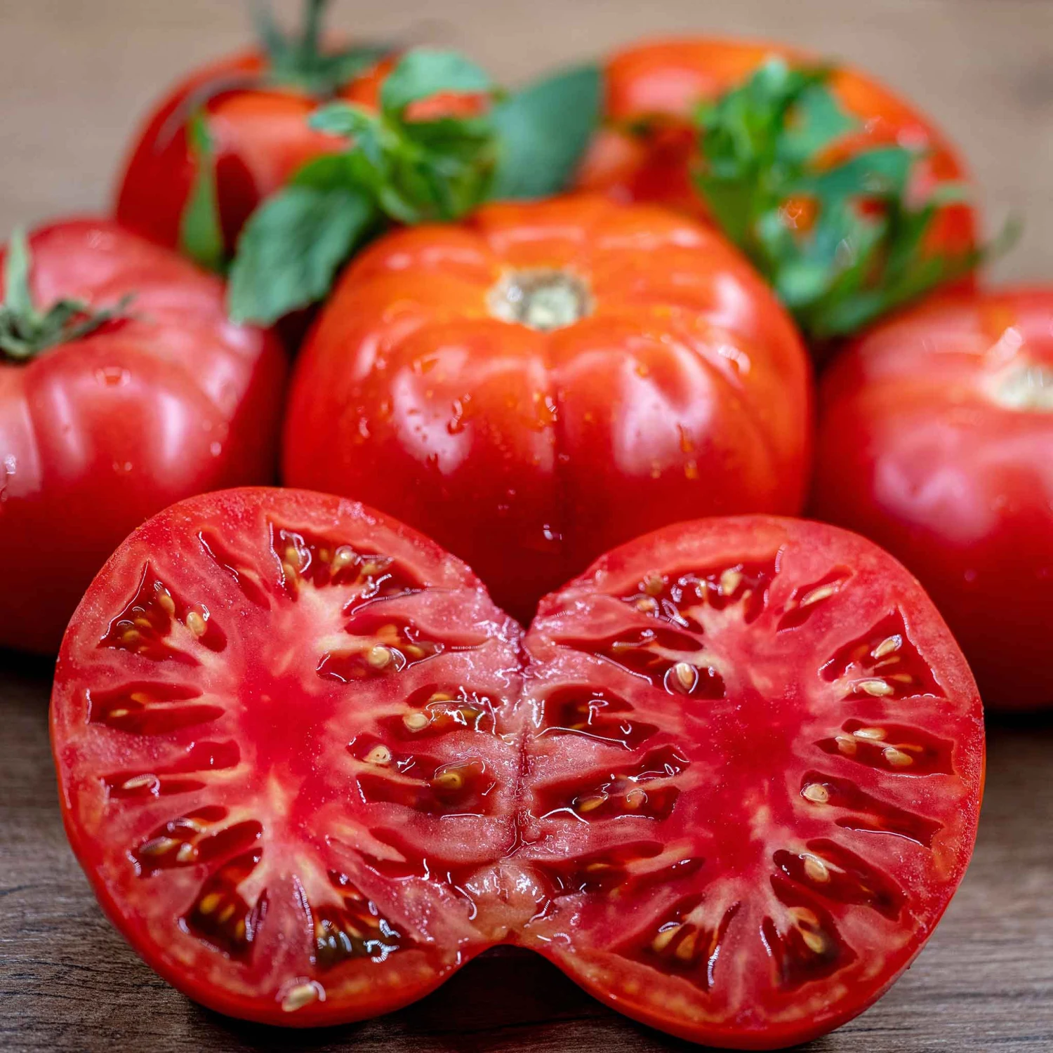 Giant Cuostralee Heirloom Tomato Seeds - Massive Beefsteak Variety 1 Giant Cuostralee Heirloom Tomato Seeds - Massive Beefsteak Variety
