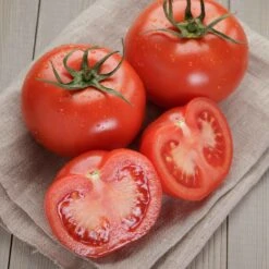 Homestead Tomato Seeds: High-Yield Heat-Tolerant Heirloom Variety