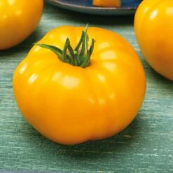 Lemon Boy VF Tomato Seeds - Hybrid Yellow Beefsteak Variety