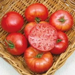 Mortgage Lifter Heirloom Tomato Seeds - Massive Beefsteak Variety