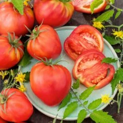 Heirloom Oxheart Tomato Seeds - Large Heart-Shaped Garden Variety