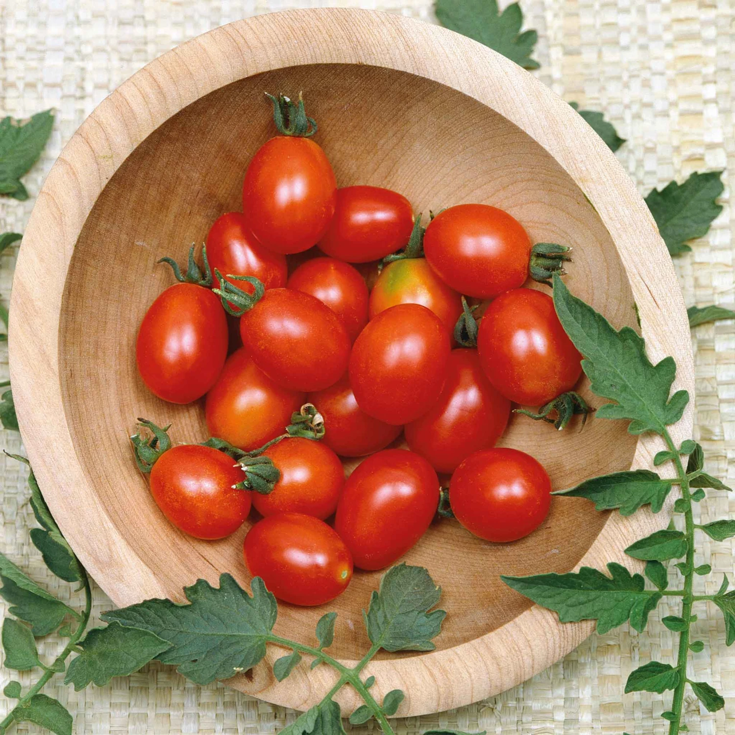 Tomato Seeds - Principe Borghese 2 Tomato Seeds - Principe Borghese - Image 2