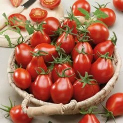Red Pear Heirloom Tomato Seeds - Sweet Pear-Shaped Garden Favorites